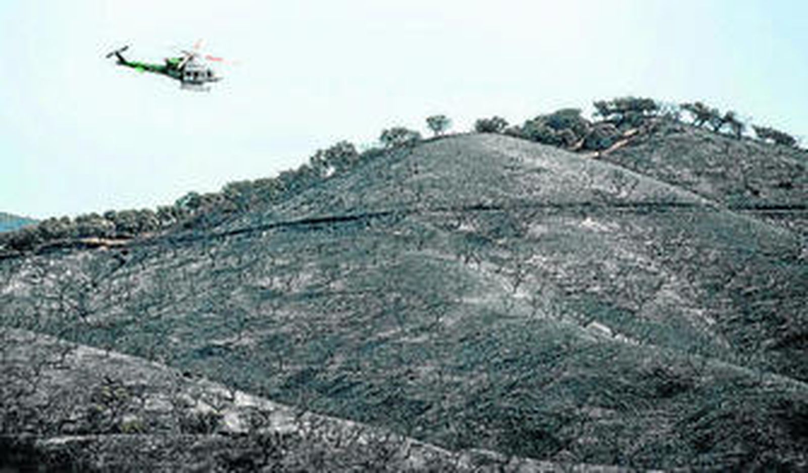 Una vista de los montes que han sido arrasados por las llamas en El Castillo de las Guardas.