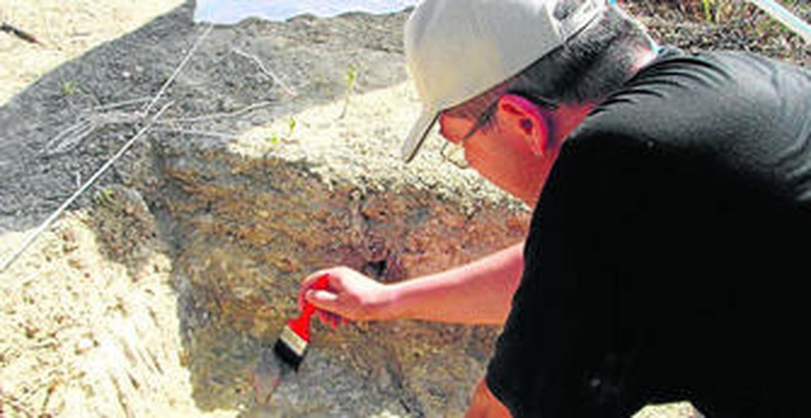 Trabajos de recuperación de los restos en la excavación.