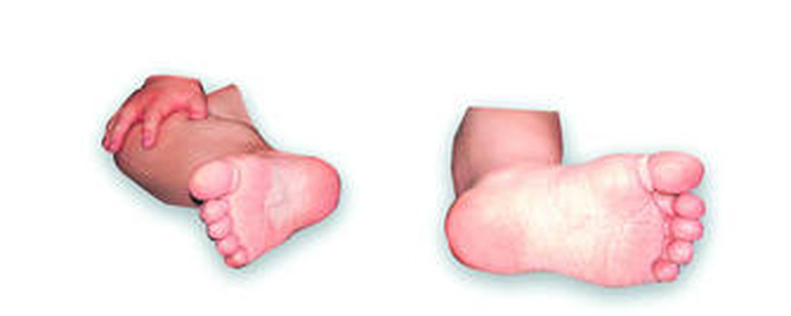 Afectados de la provincia de Cádiz, ante la Audiencia Provincial, son grabados por una televisión.