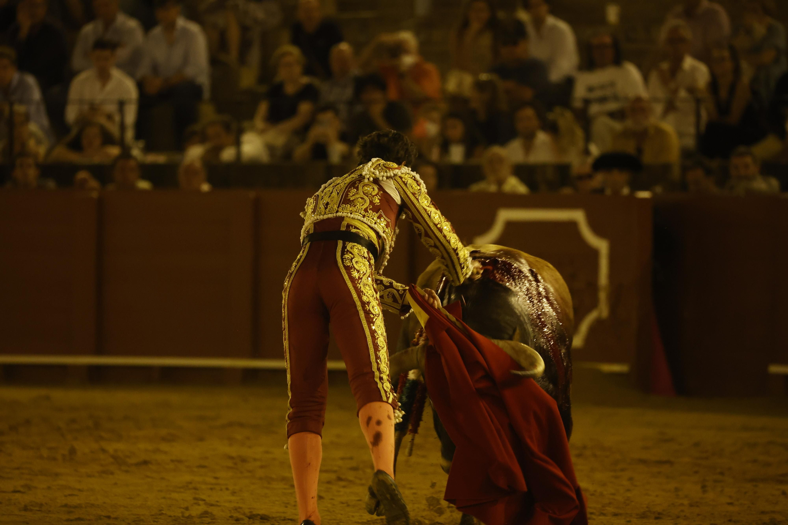 Las imágenes de la novillada en la Maestranza