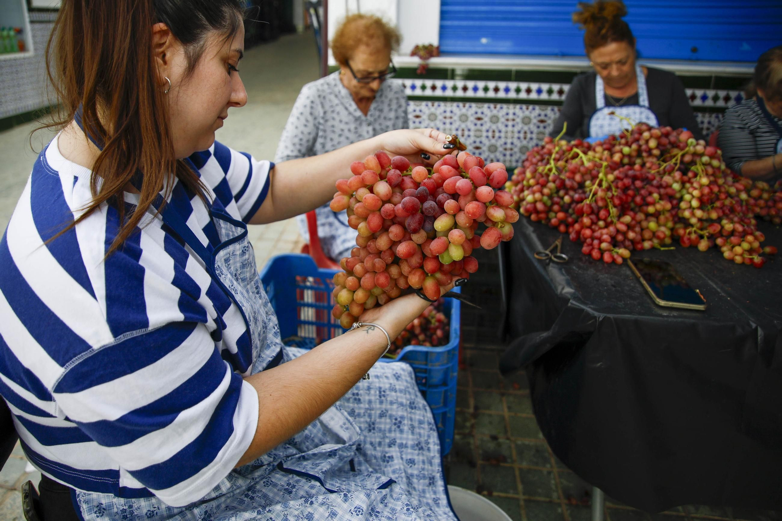 La tradicional faena de la uva de Canjayar, en imágenes