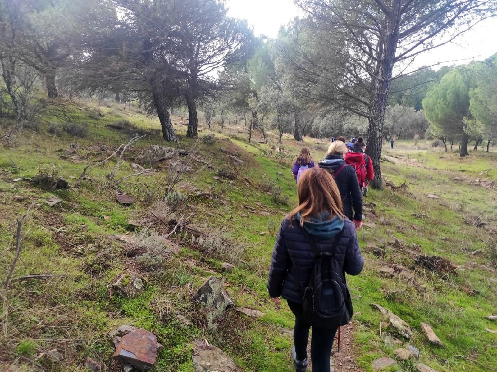 Ruta senderista para recolectar hasta diez tipos de setas diferentes en Despeñaperros