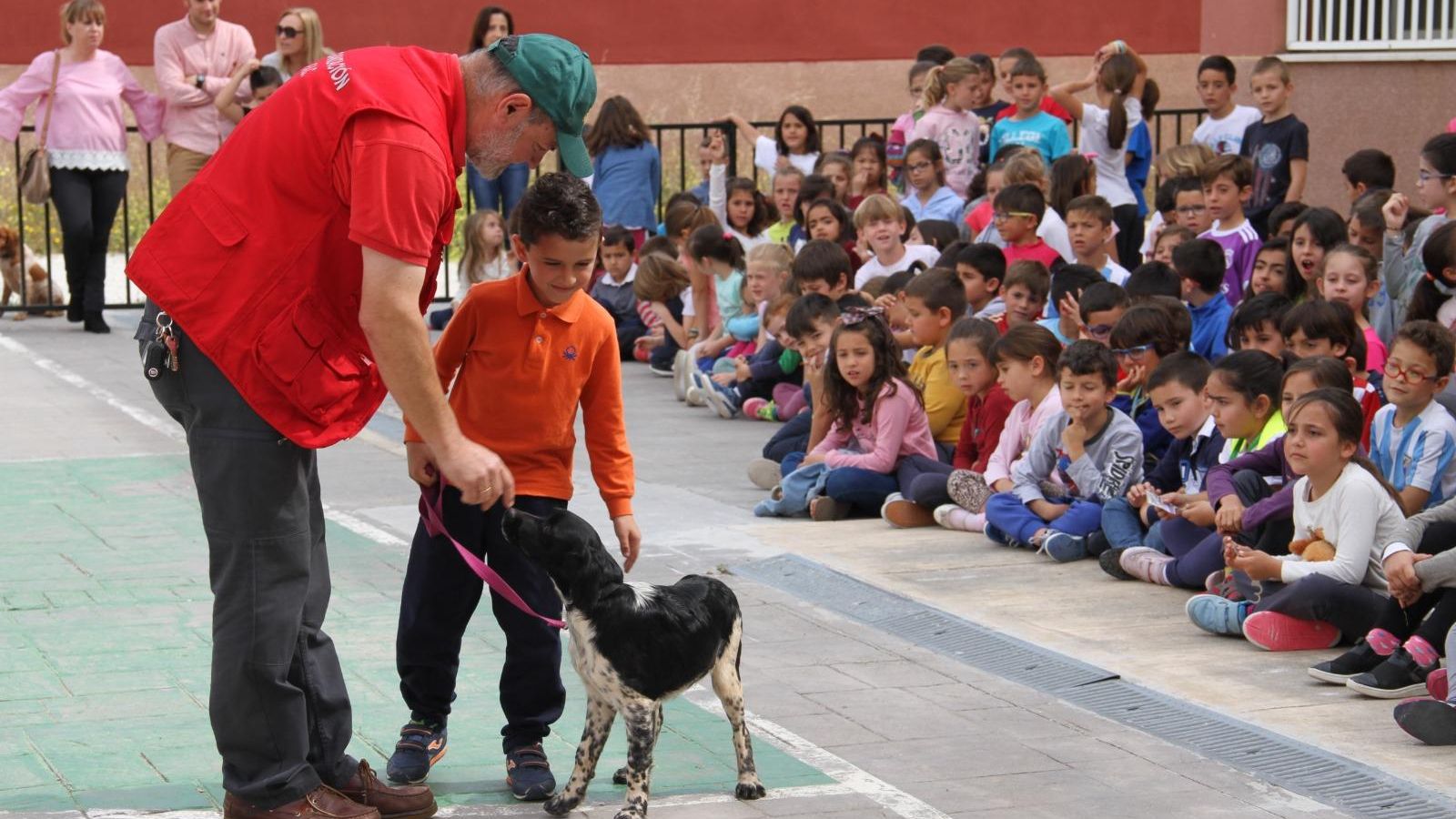 El monitor explica a un niño cómo enseñar a un perro, cómo cuidarlo y cómo es su alimentación y entrenamiento diario.