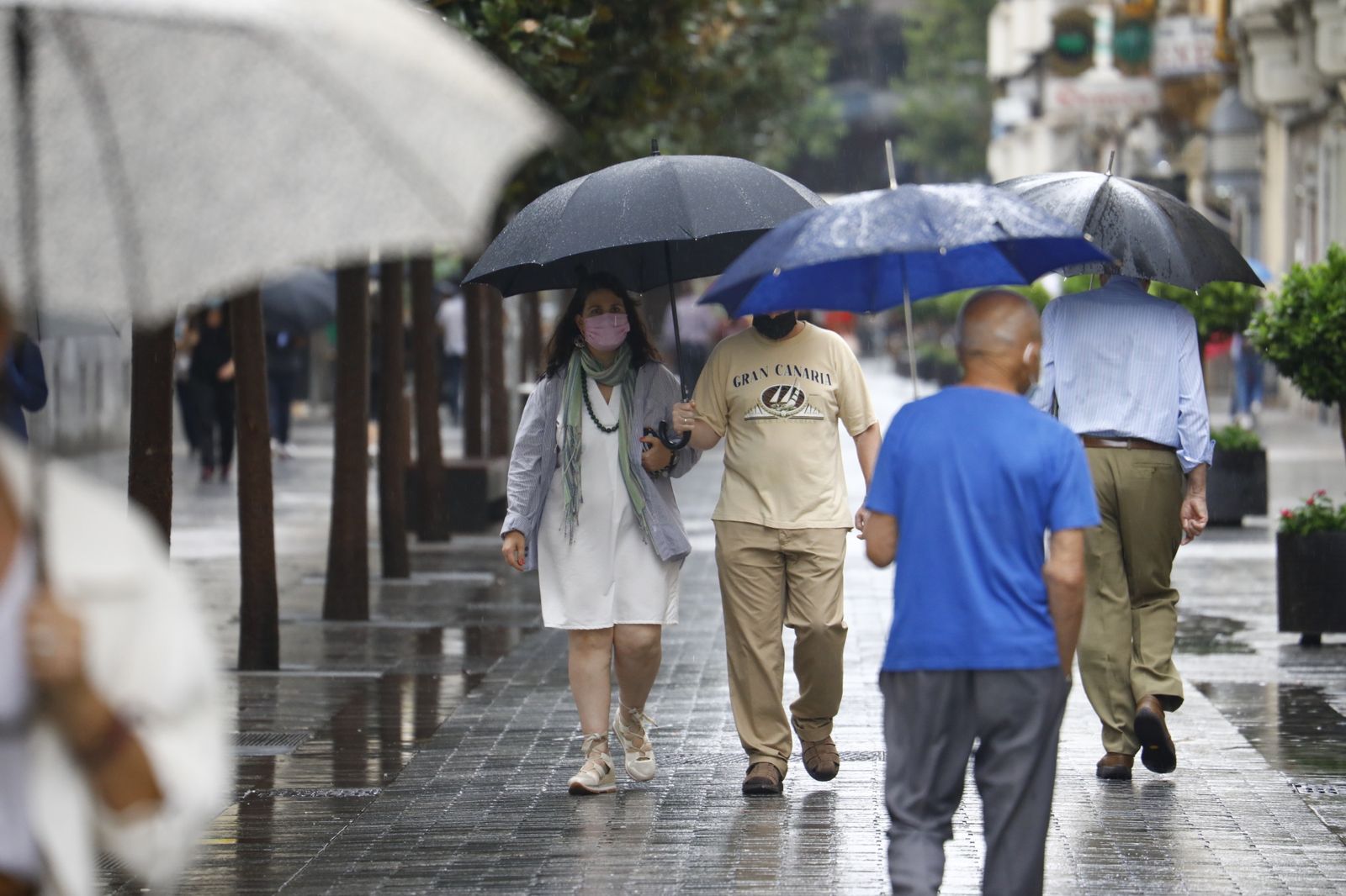 Córdoba vuelve a los días de lluvia en imágenes