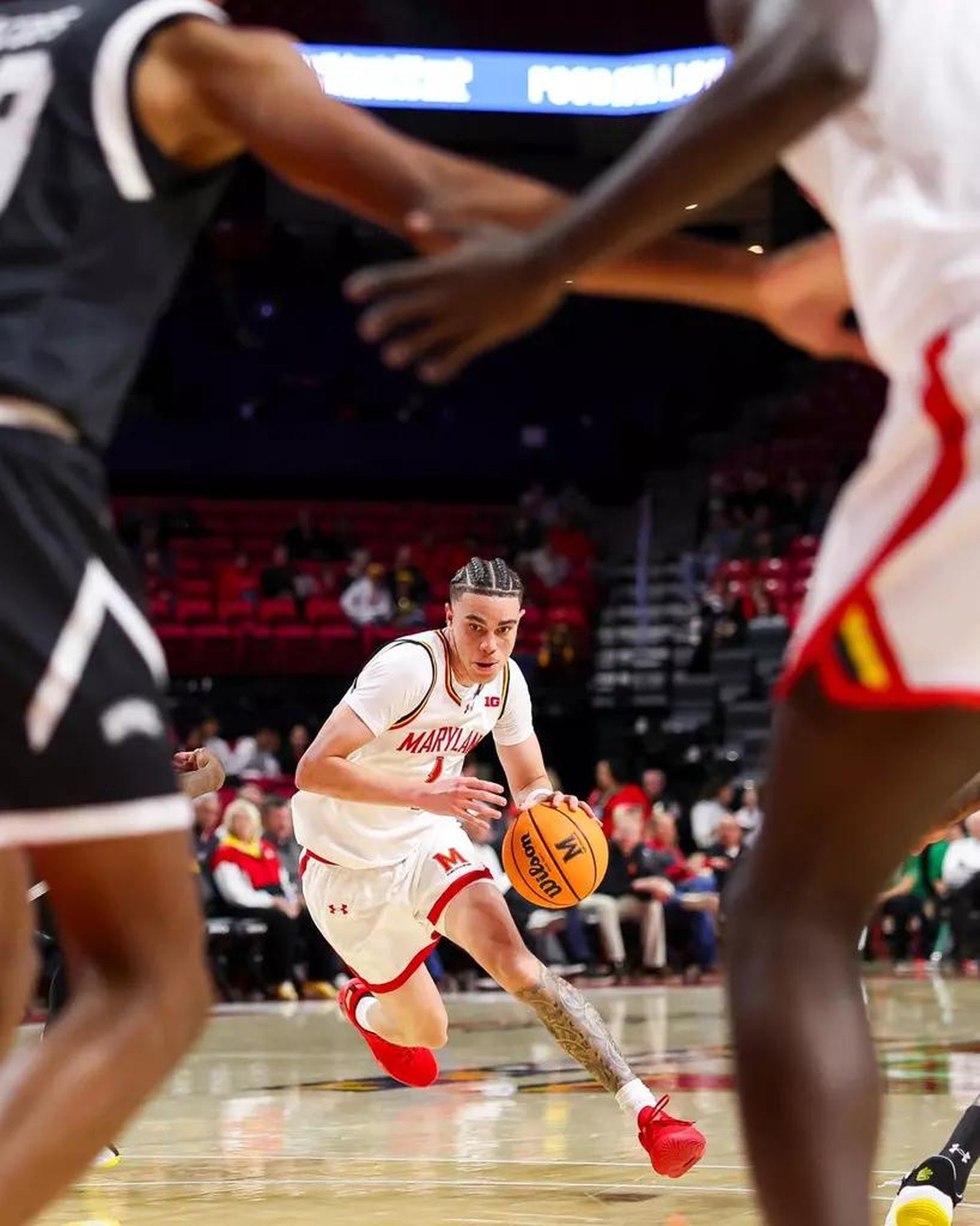 Guille del Pino debuta con Maryland y se impone a José Tanchyn