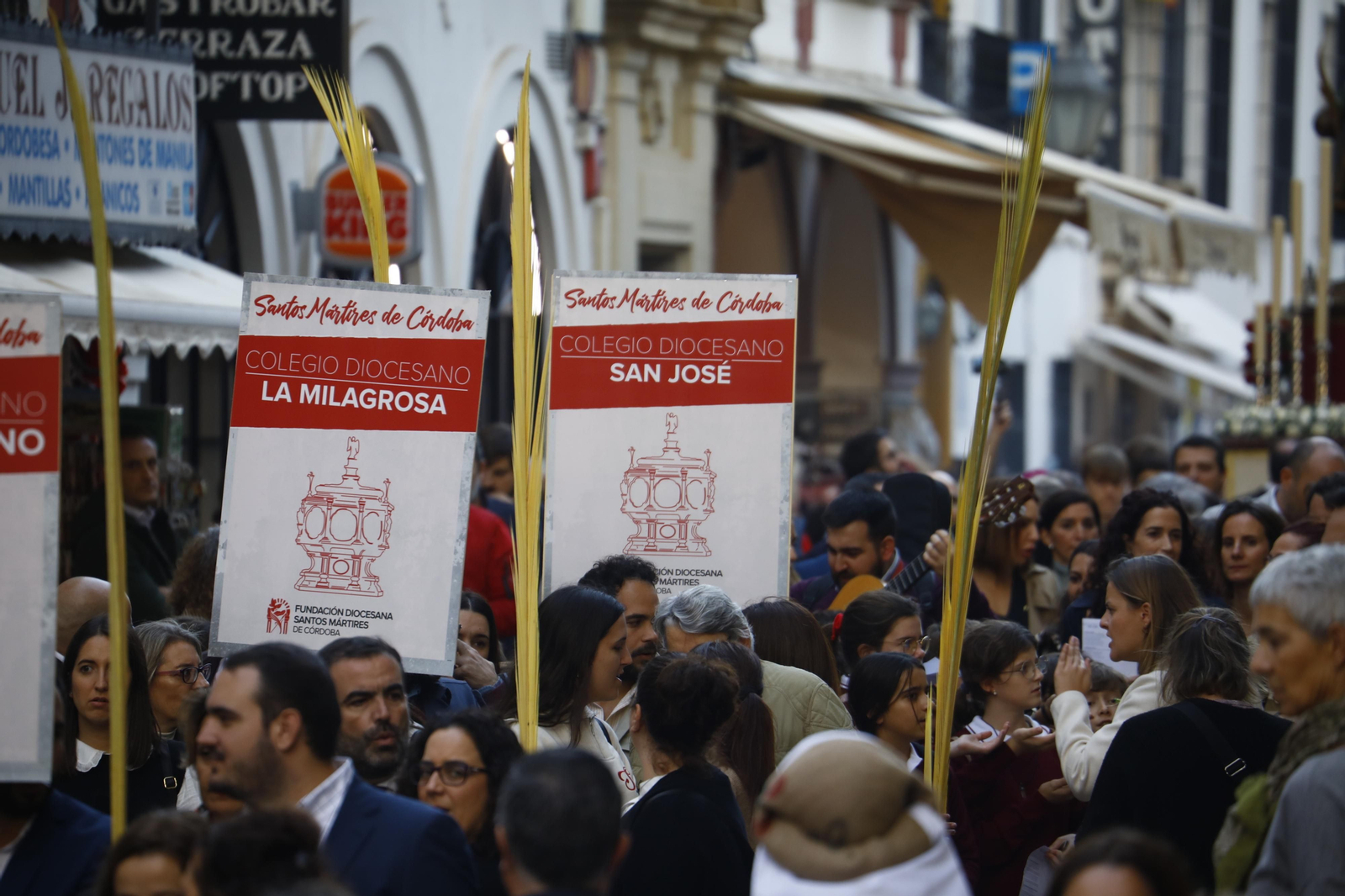 La peregrinación de los Santos Mártires de Córdoba, en imágenes