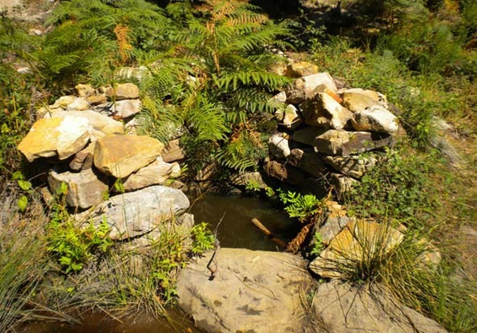 Manantial del Mirador