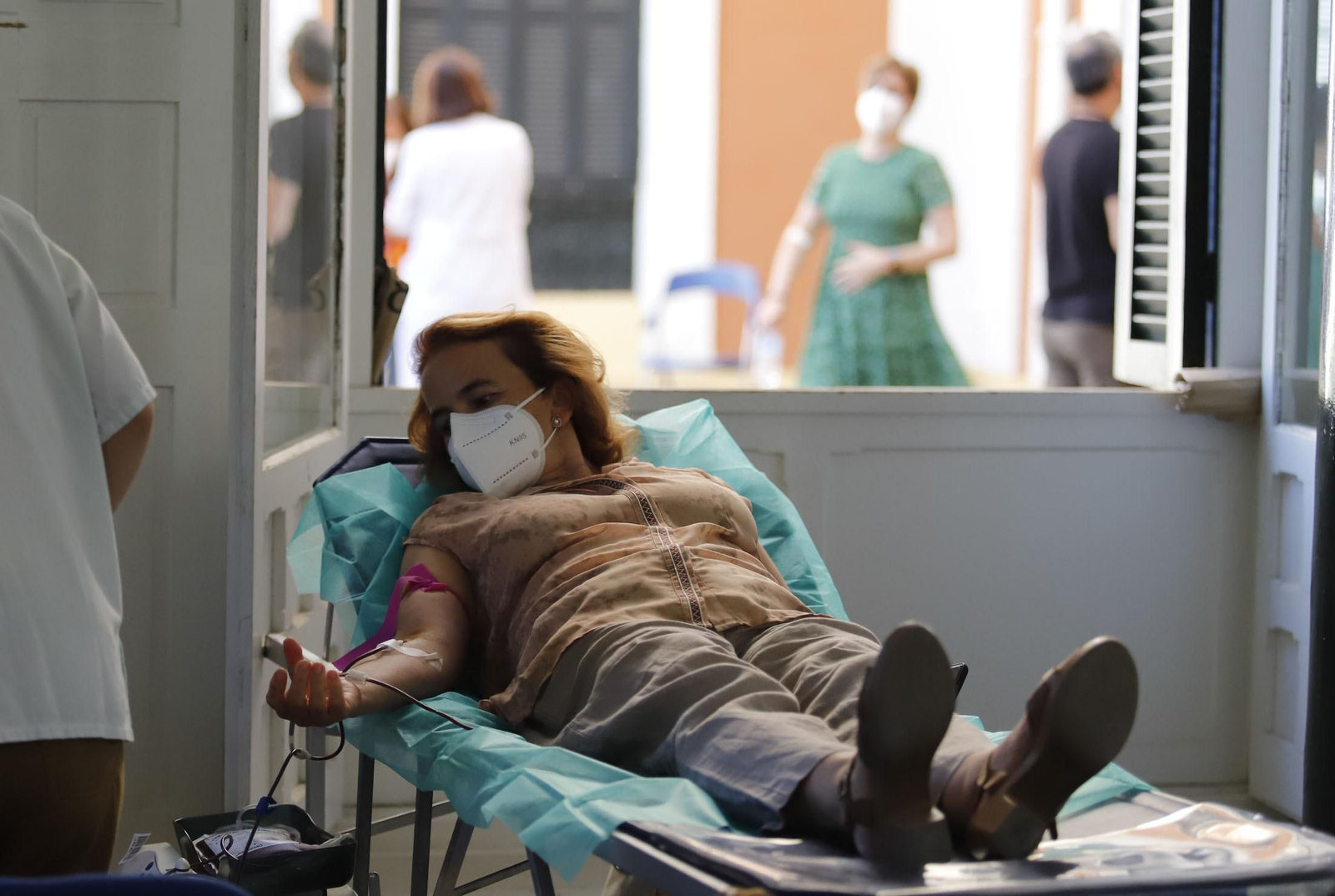 Macrocolecta de sangre en la Casa Colón