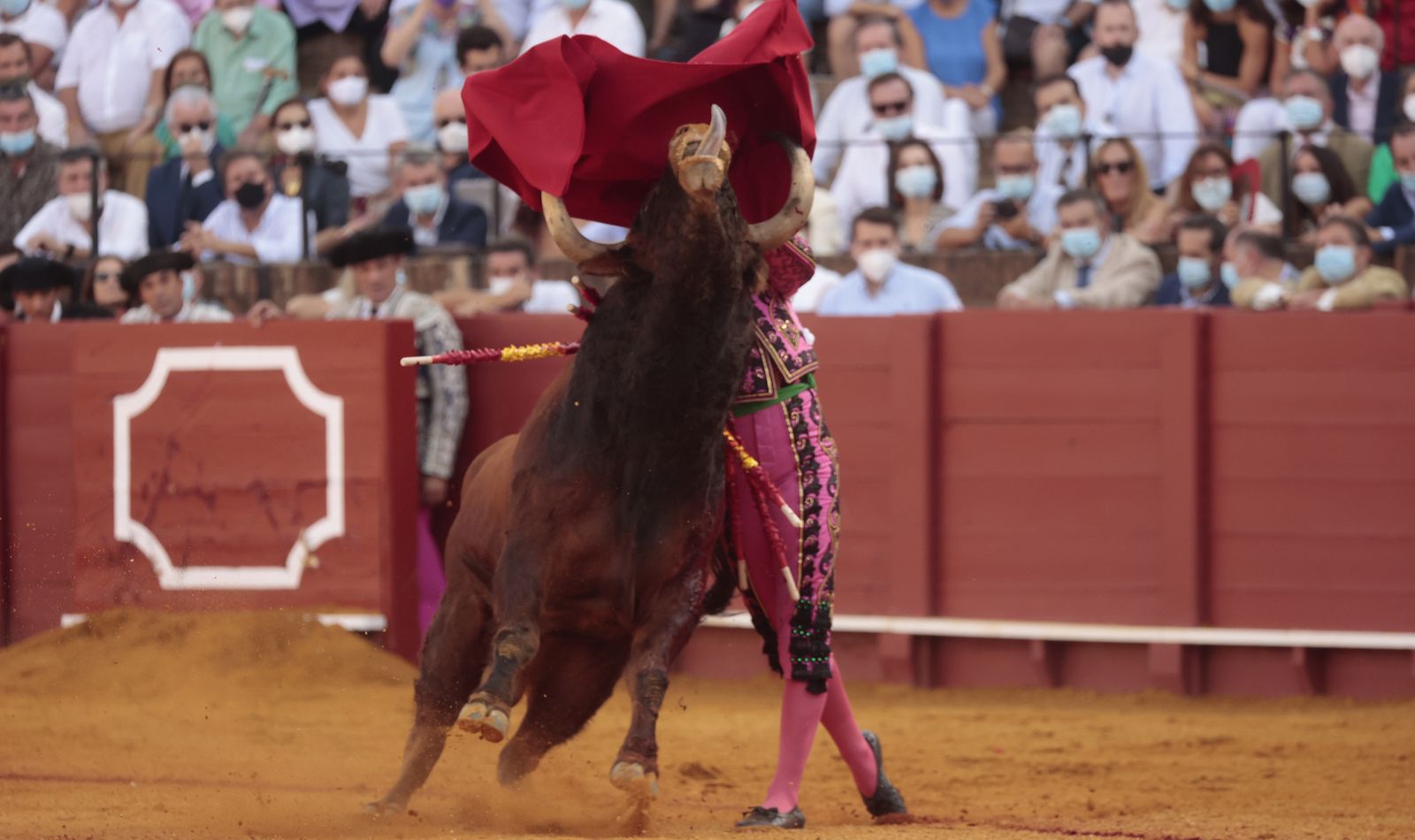 Las imágenes del triunfo de Morante en San Miguel