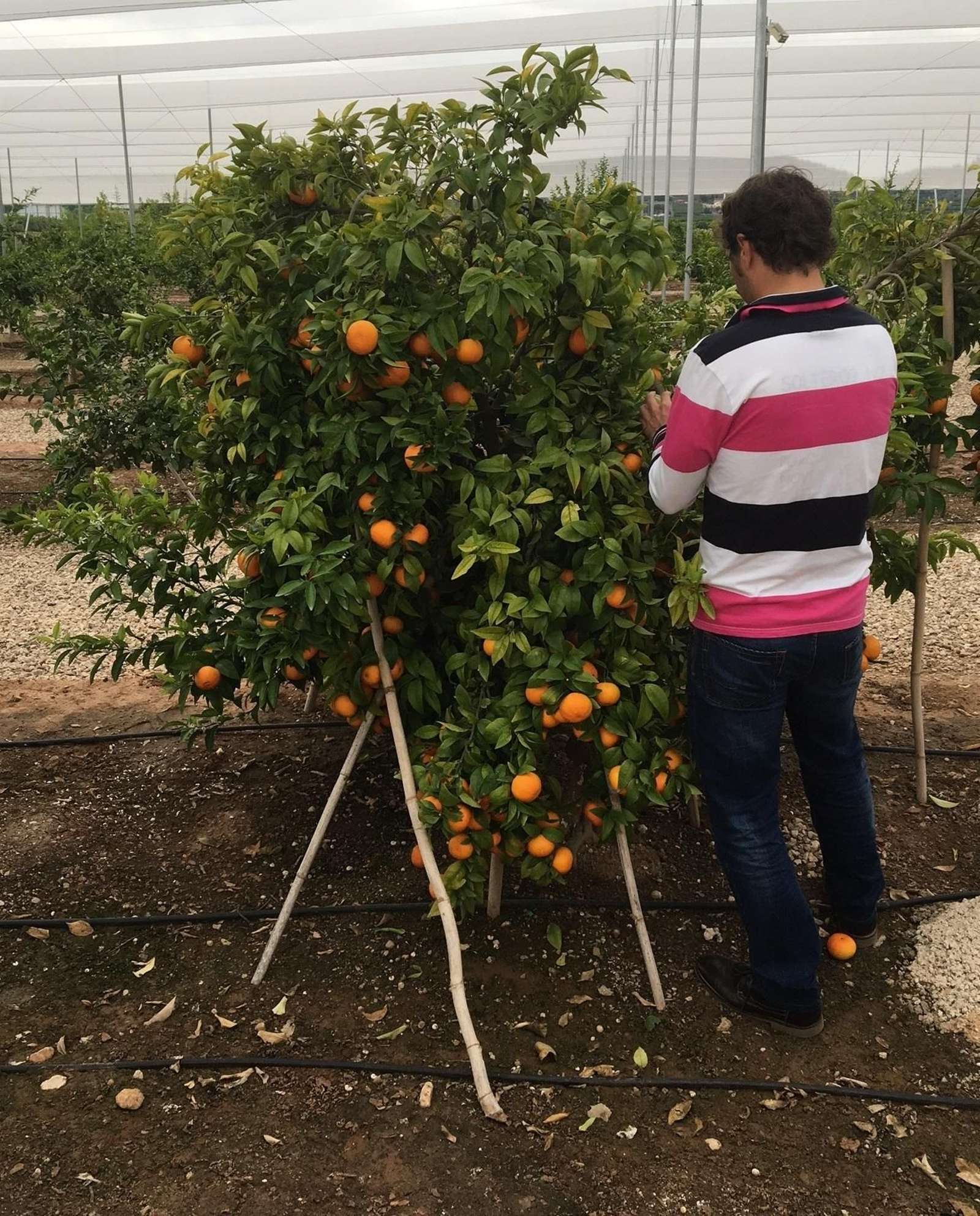 Invitaron al Centro de Prevención de Riesgos Laborales a sus instalaciones.