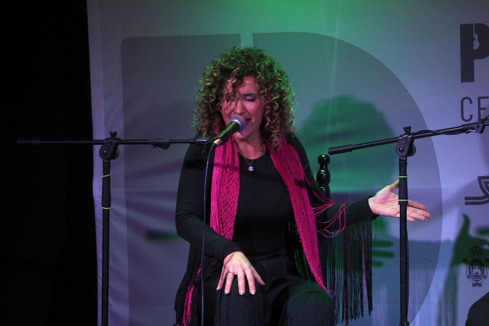 Fotos del espectáculo "Mi sentir flamenco" de David Lozano en el Centro Paco de Lucía de Algeciras