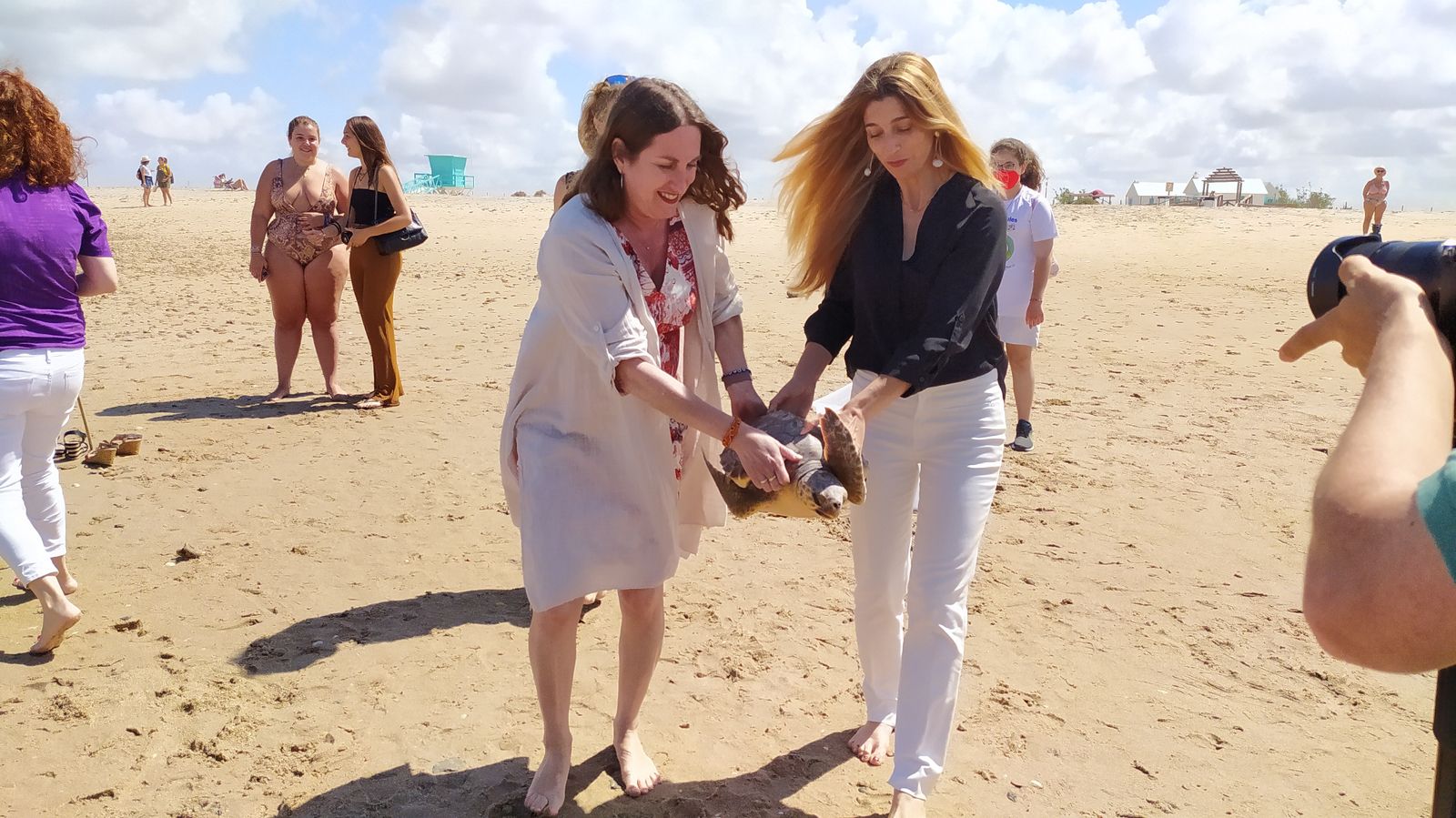 Suelta de tortugas marinas en la playa de Camposoto