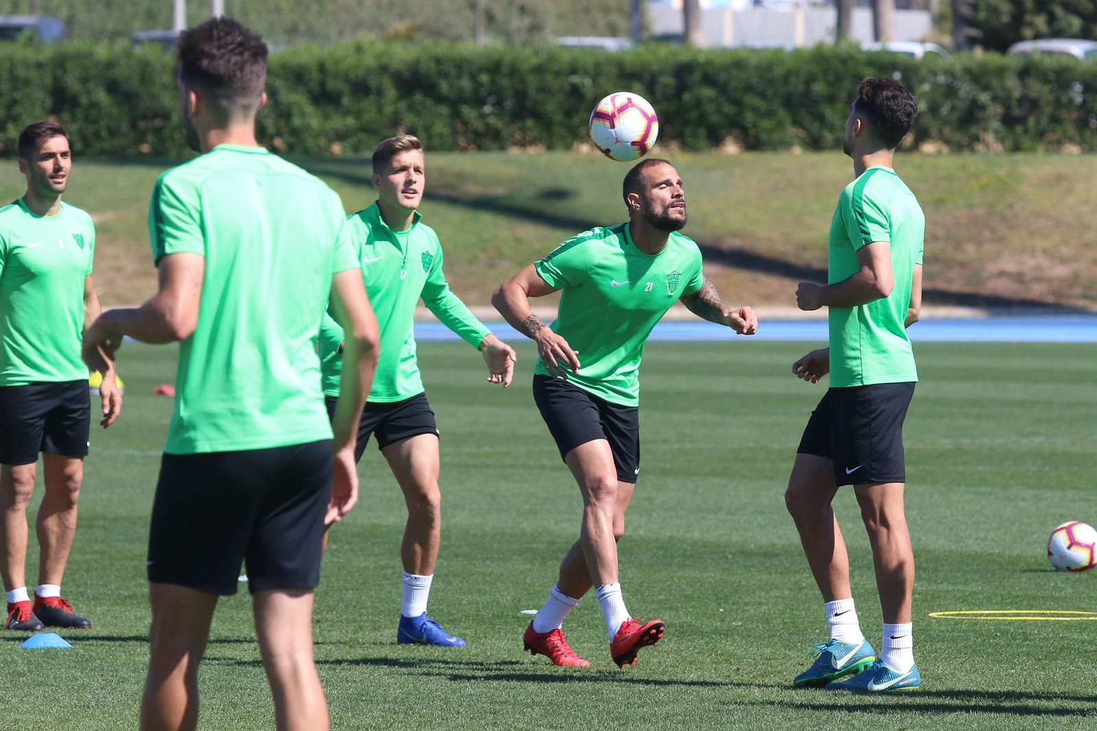 Entrenamiento en el anexo.