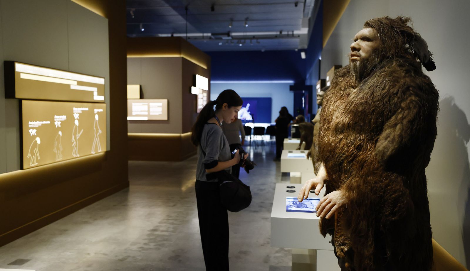 Las imágenes de la exposición interactiva “Talking Brains”