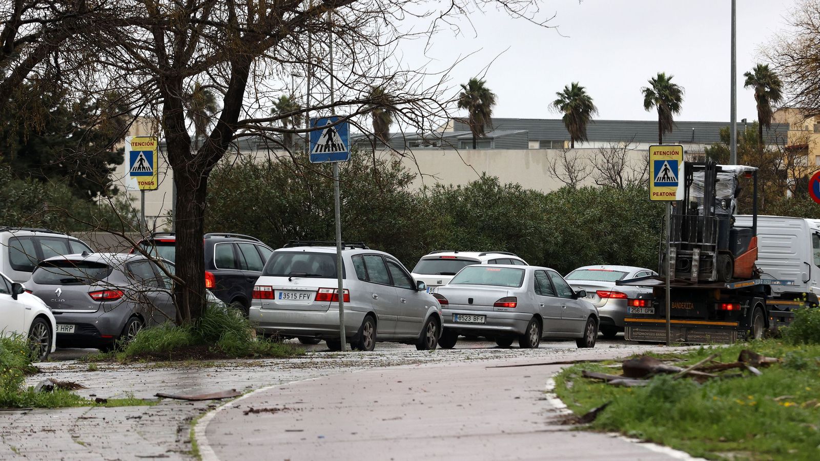 Ruta por la zona rural inundada de Jerez