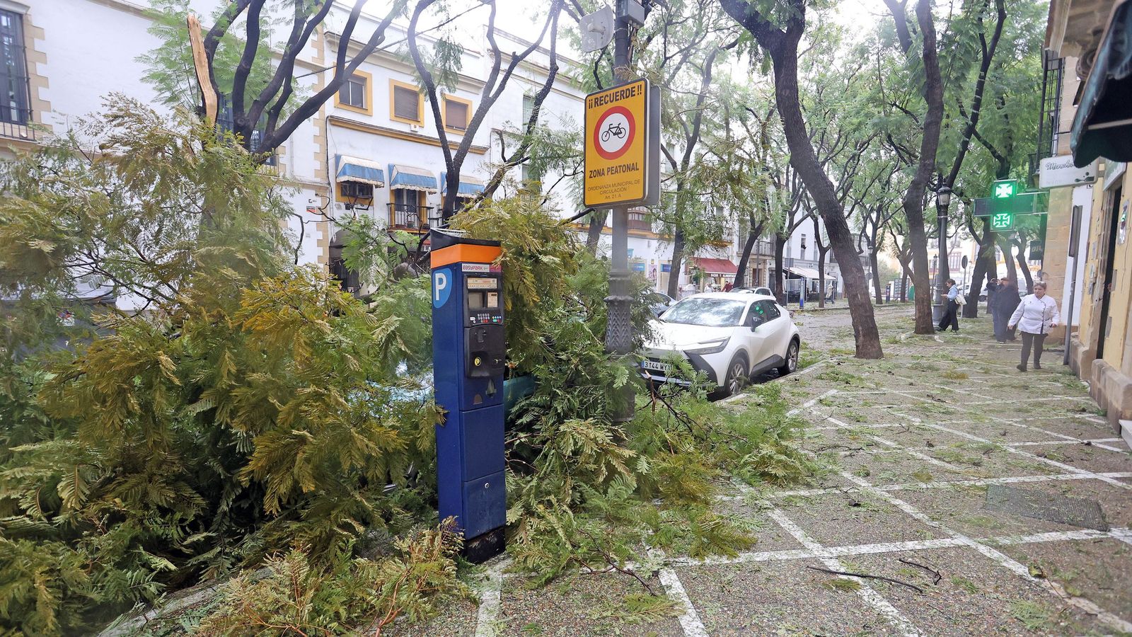Imágenes del paso de la borrasca Kristin por el centro de Jerez