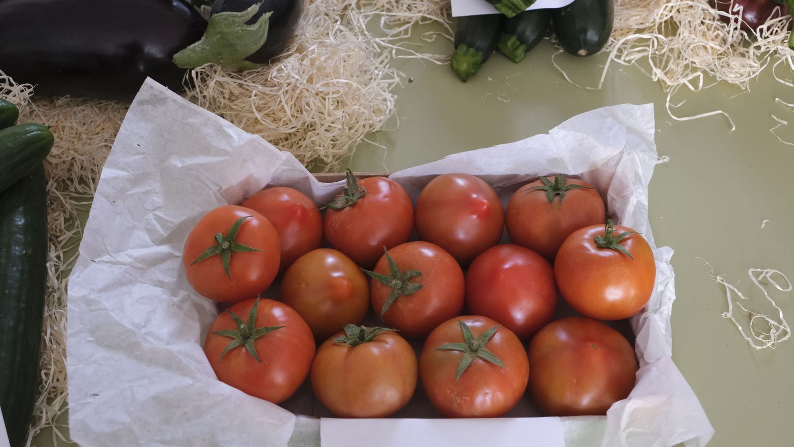 Fotogalería de las Fiestas de San Marcos en Adra.