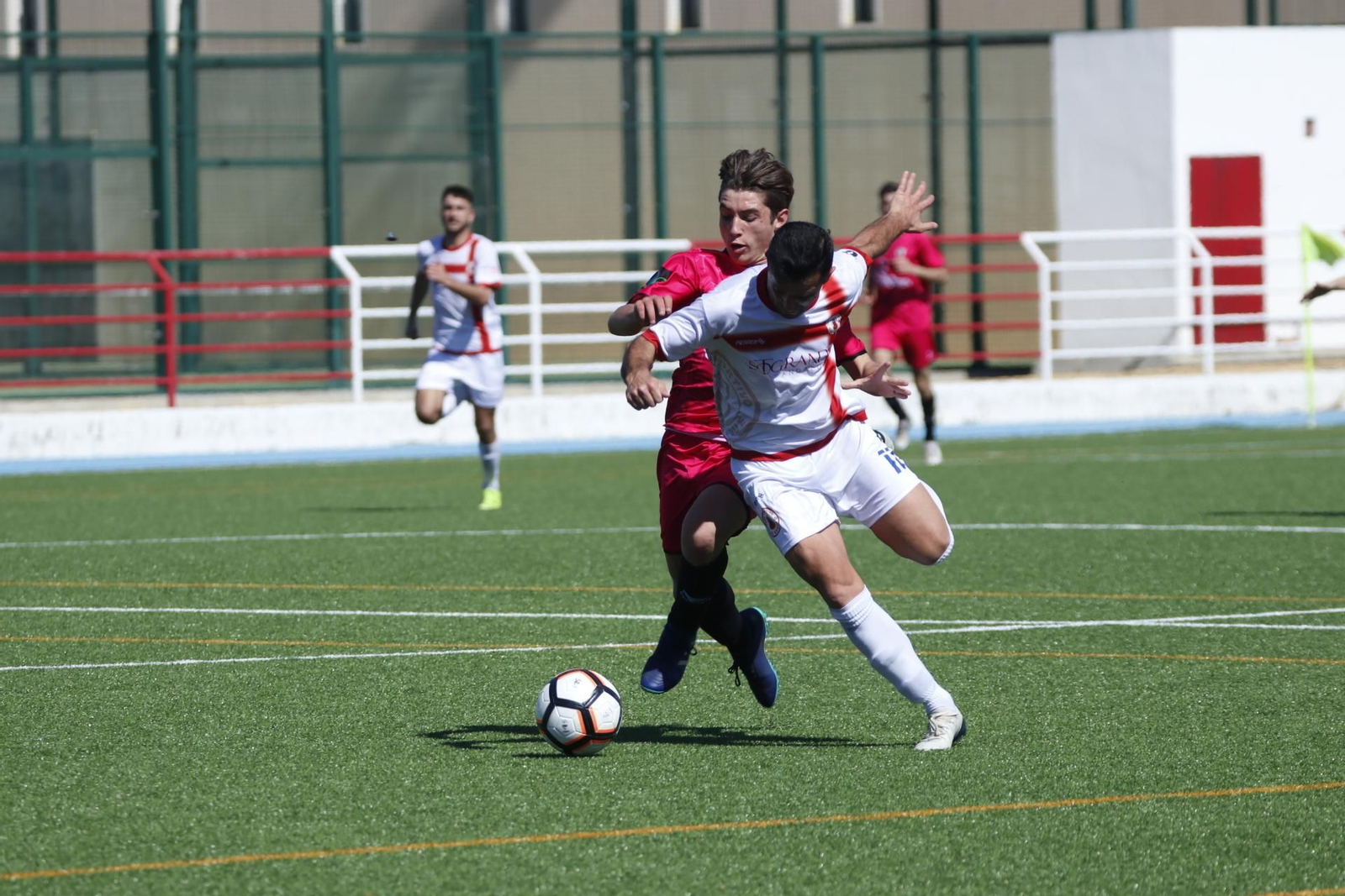 El rojillo Chupi protege el balón durante un partido.