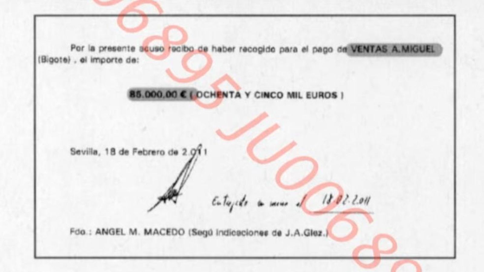 Uno de los recibos de la contabilidad B de Fitonovo por el pago de 85.000 euros a "A. Miguel (Bigote)", que supuestamente iba dirigido a IU.