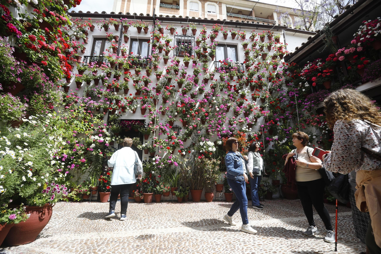 Colas e ilusión en el primer sábado de los Patios de Córdoba, en imágenes