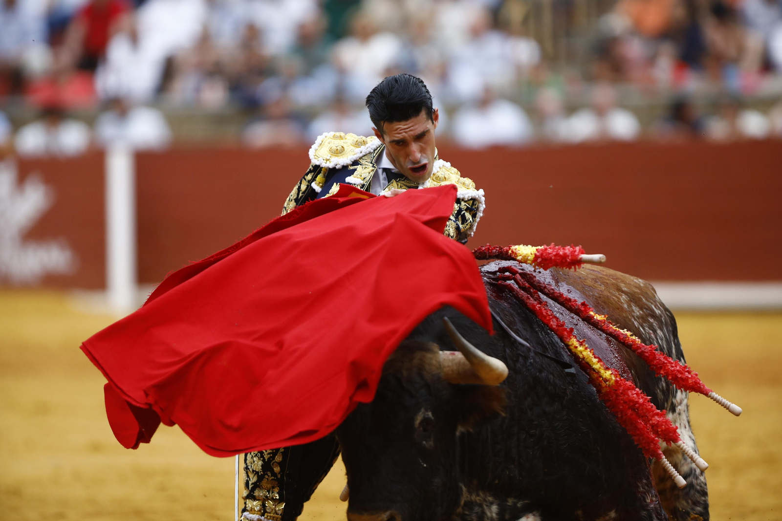 La corrida de Talavante, Roca Rey y Lagartijo, en Córdoba, en imágenes