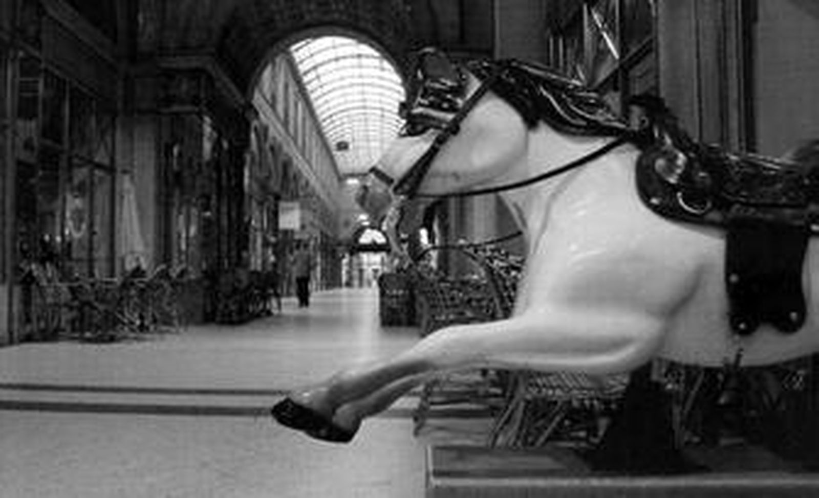 José Antonio Carmona. Fotógrafo