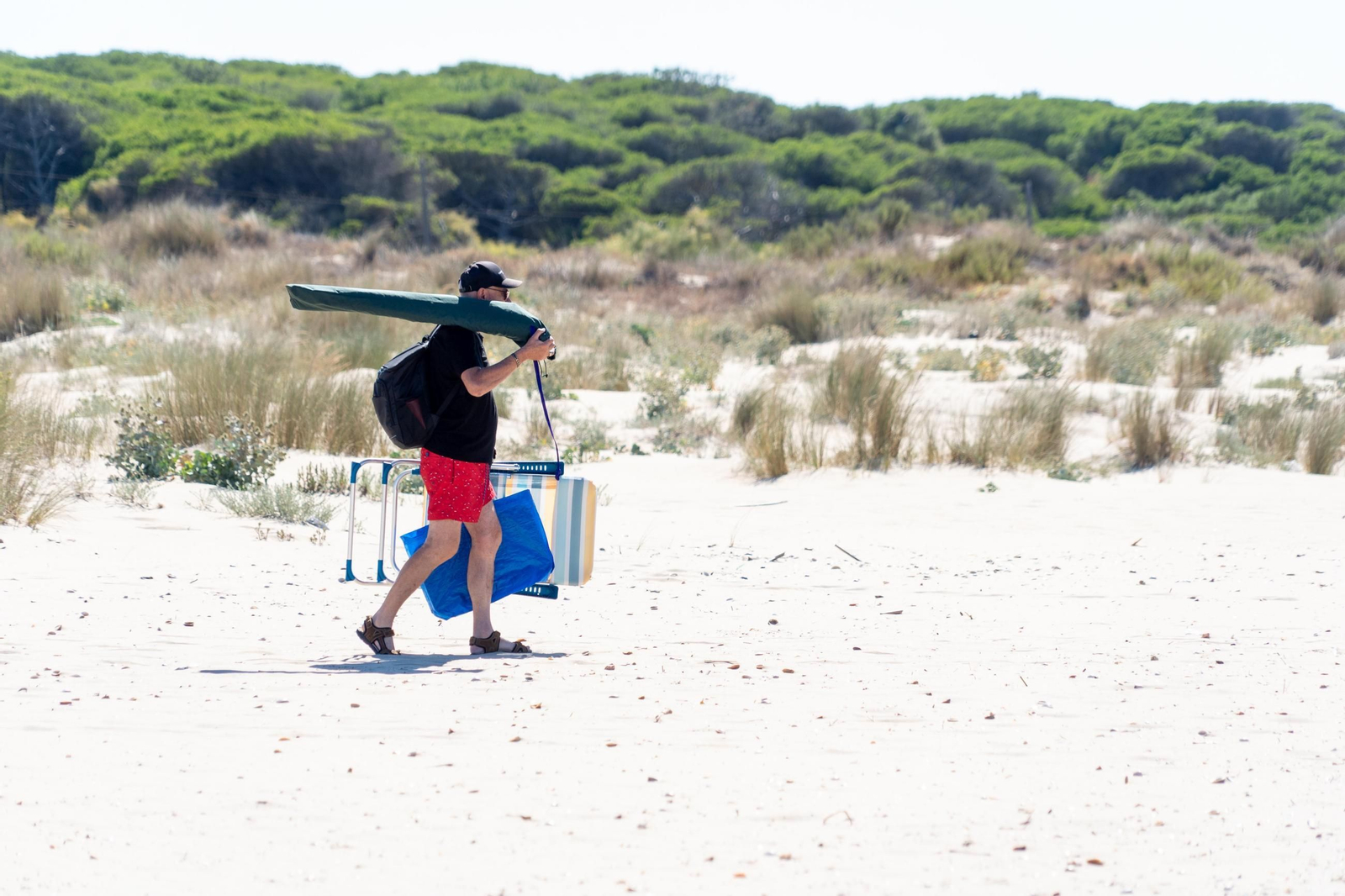 La Playa de la Bota este domingo, soleada, viva&nbsp;y&nbsp;con&nbsp;brisa