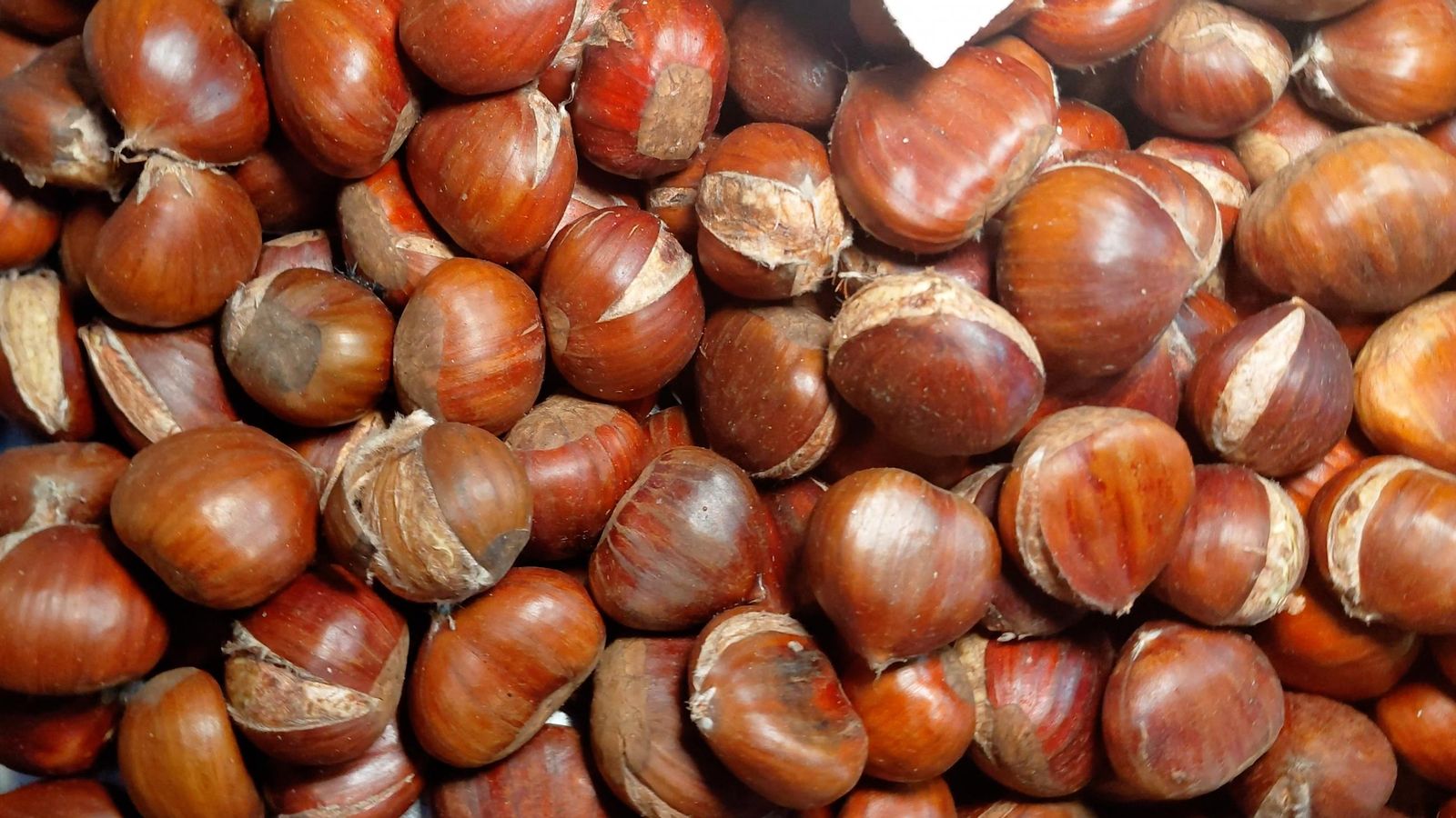 Las castañas son del Valle del Jerte