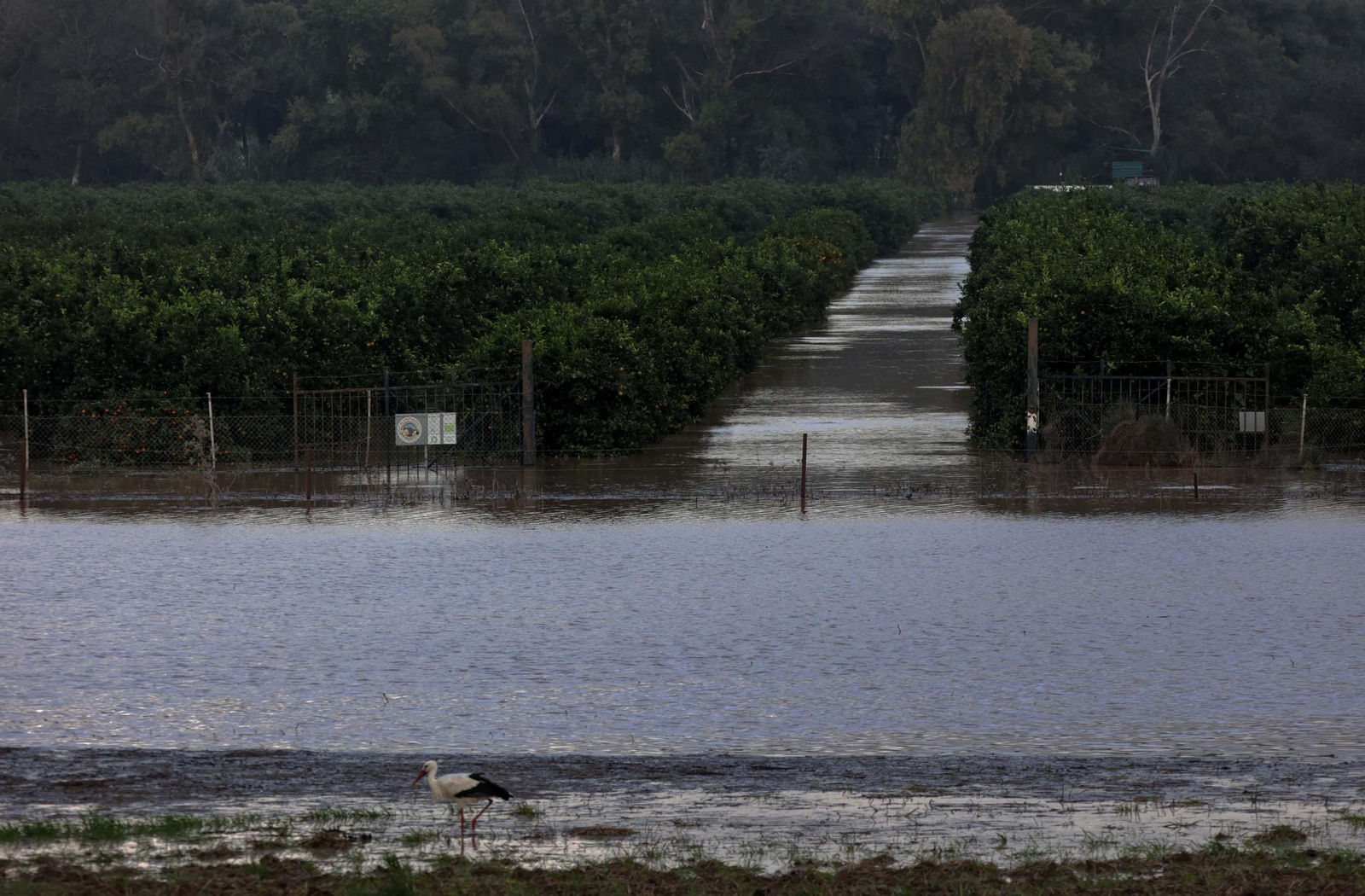 Fotos de la inundaciones en San Pablo de Buceite por la DANA