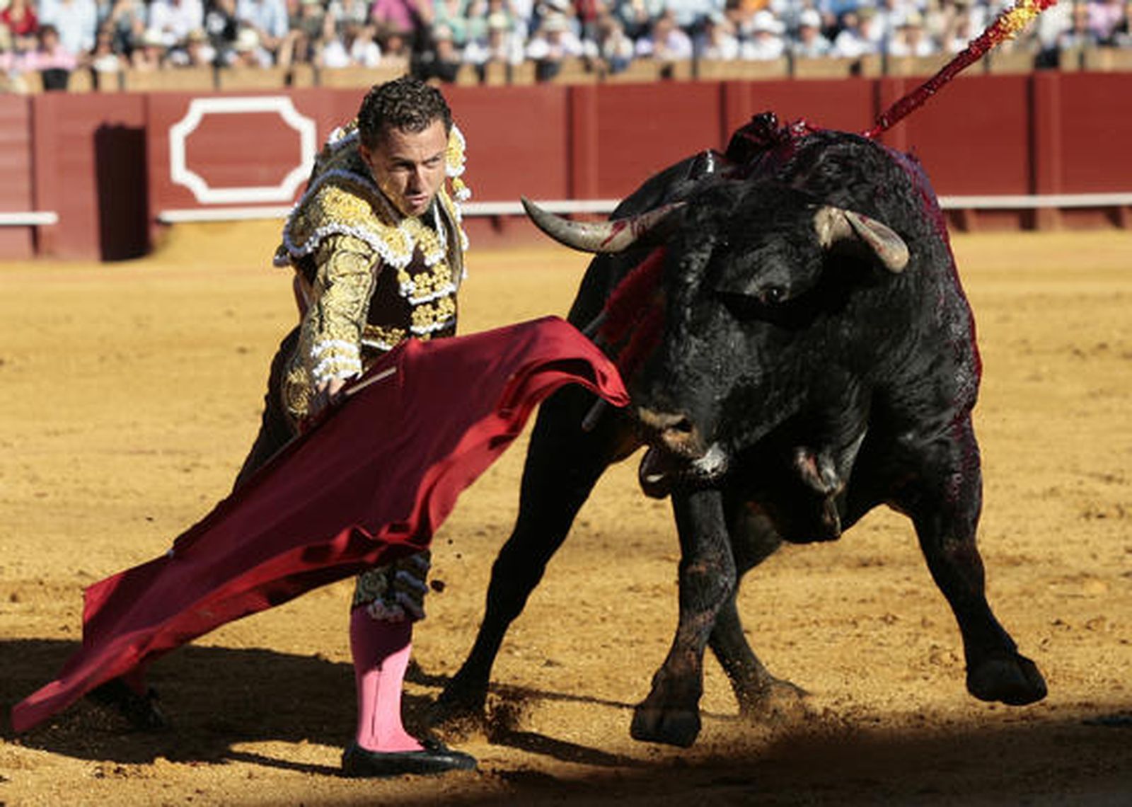 El diestro Rafaelillo en plena faena con el segundo Miura de la tarde.

Foto: Juan Carlos Muñoz
