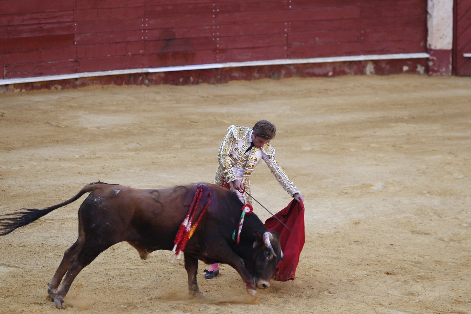 Fotogalería novillada Escuela Taurina de Almería. Feria de Almería 2019