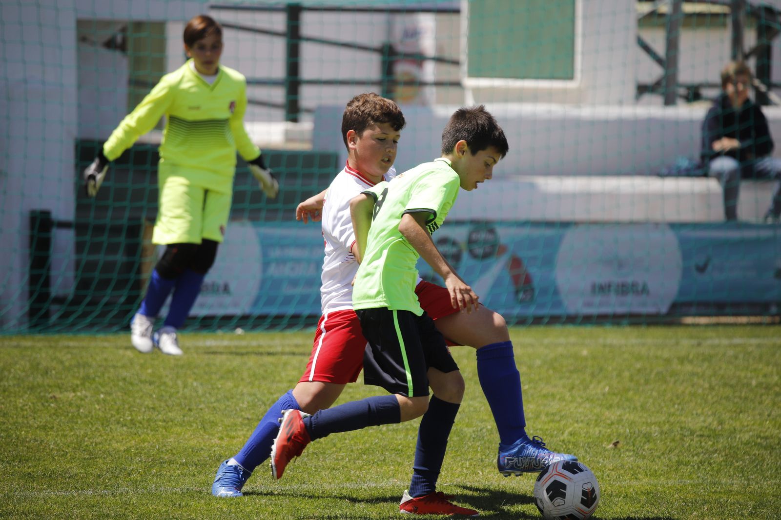 Las imágenes de la Copa Covap en Pozoblanco