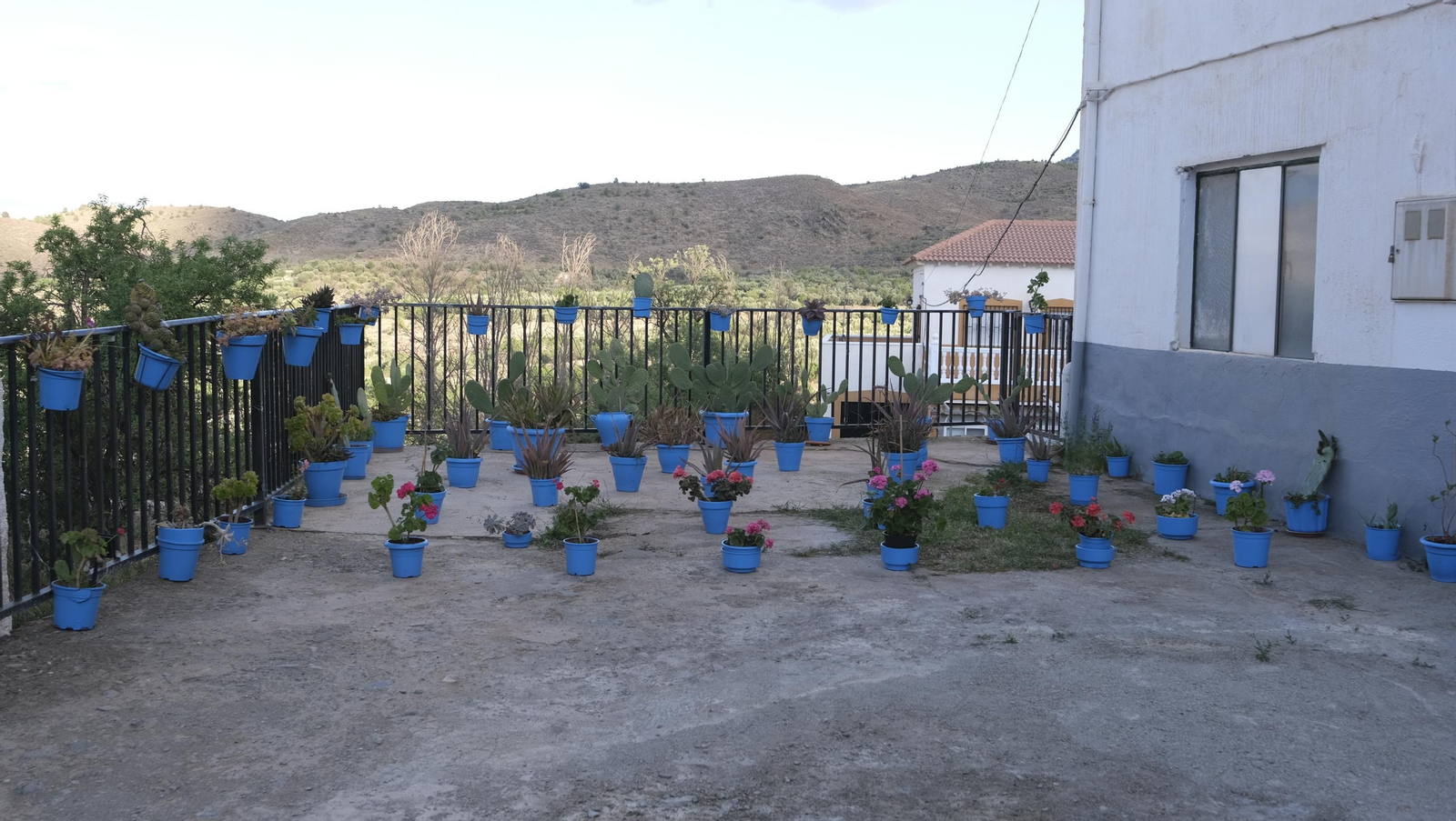 Imágenes del Pasacalles Infantil de las Fiestas de Abla