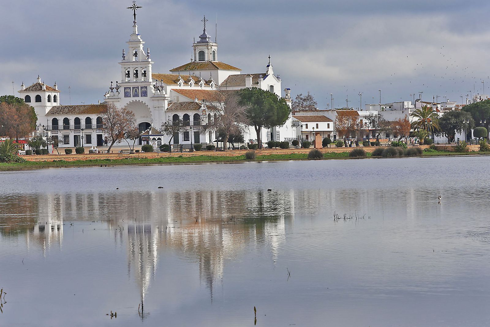 Estado actual en el que se encuentran las Marismas del Rocío tras las últimas lluvias