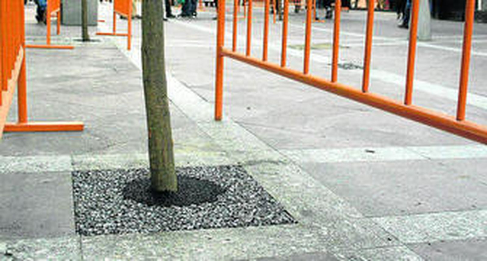 Imagen de uno de los alcorques de la calle Ancha.