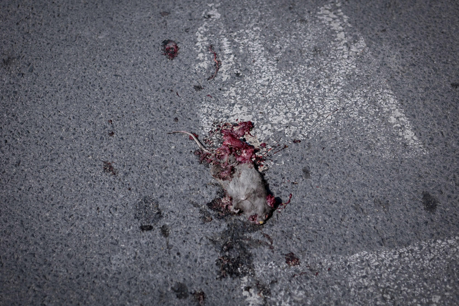 Así se vive en el Polígono Sur, el barrio más pobre de España