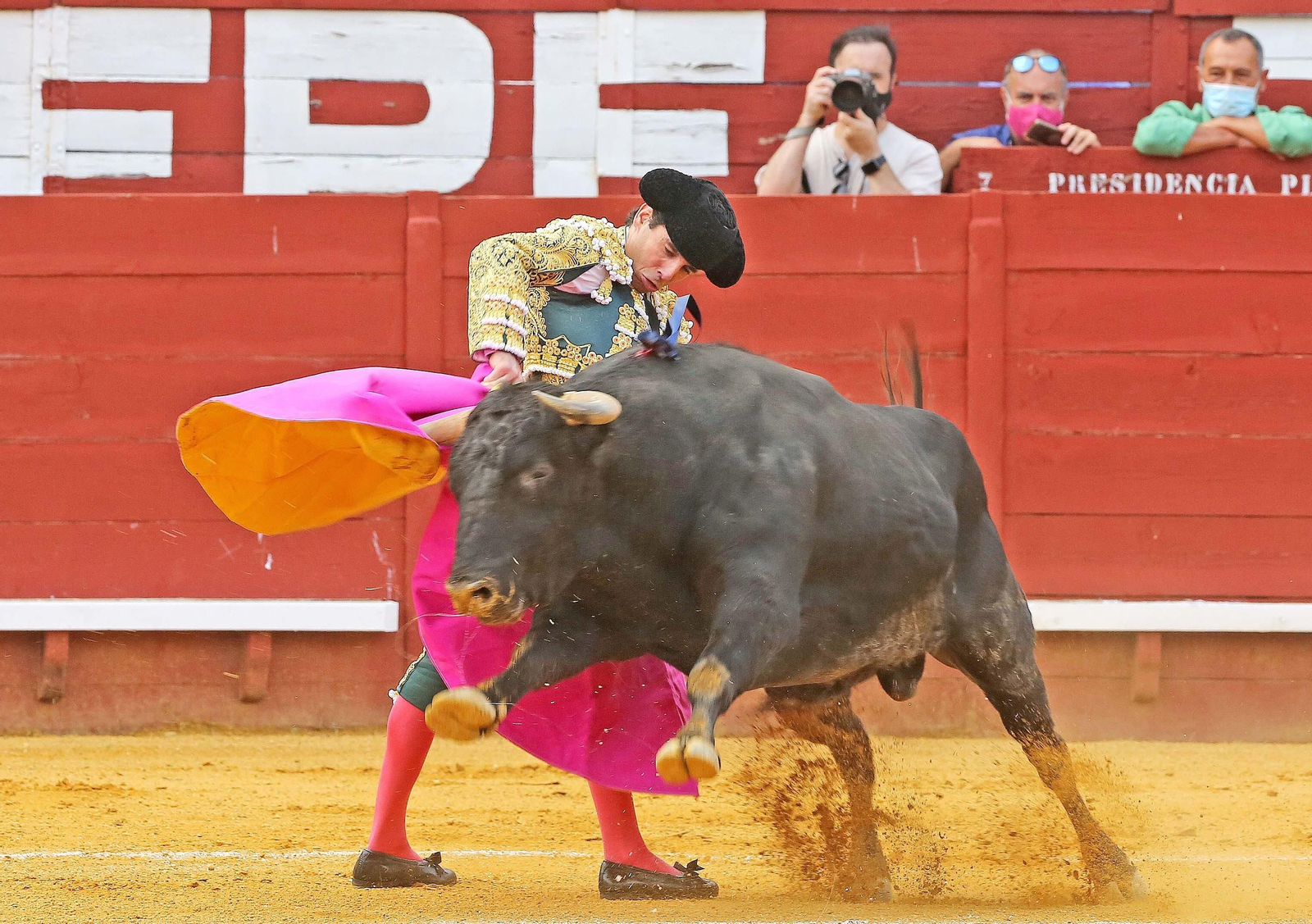Imágenes de la vuelta de los toros a Jerez Imágenes de la vuelta de los toros a Jerez