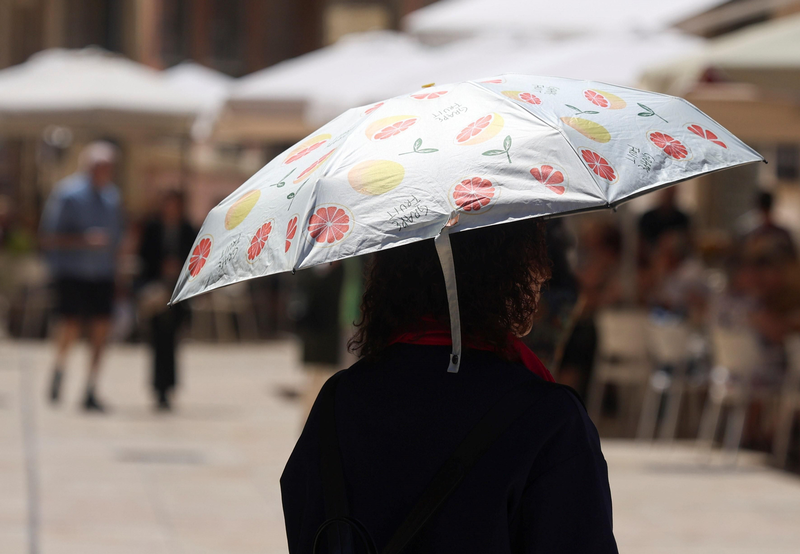 La llegada del terral a Málaga, en fotos