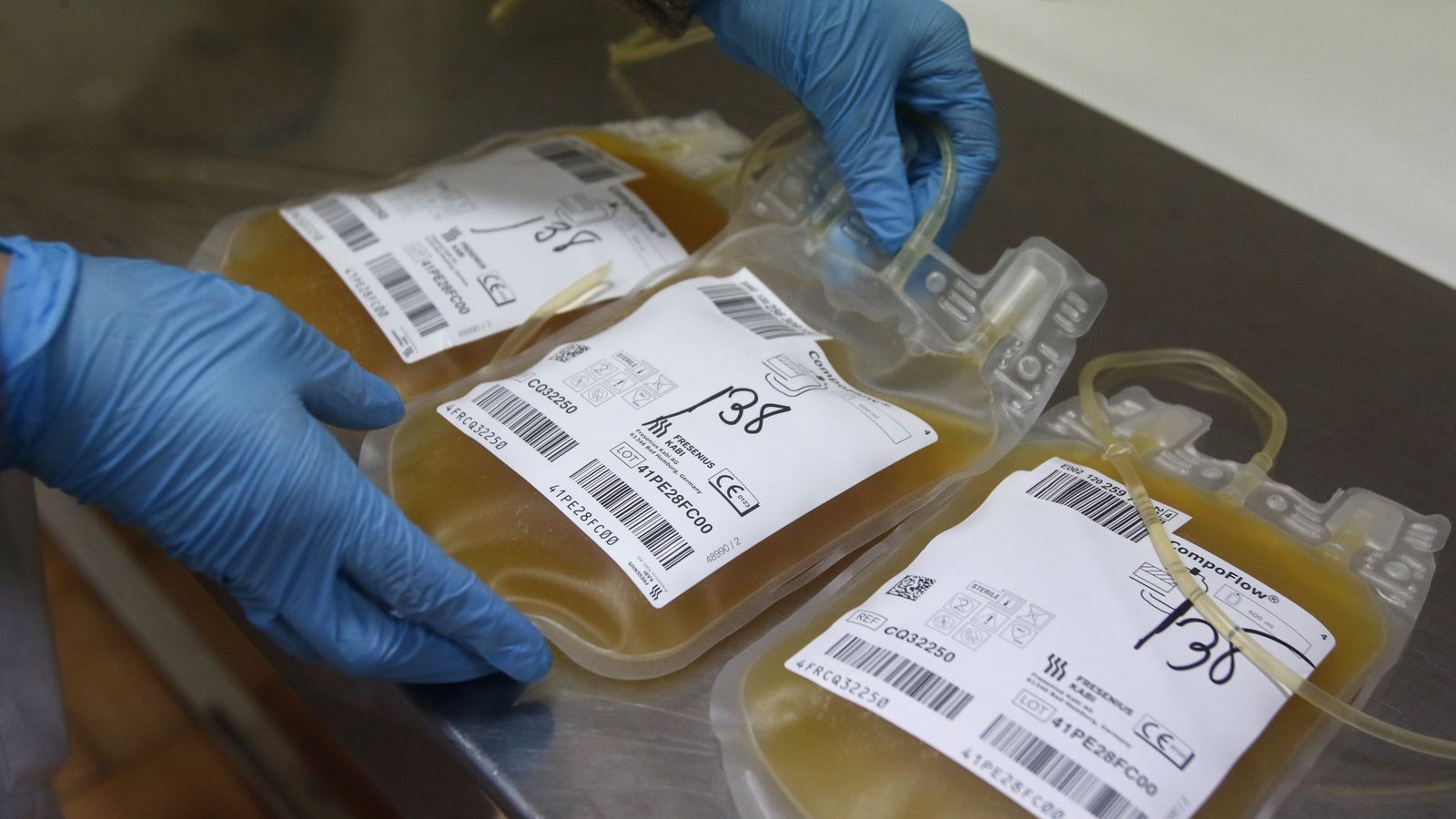 Varias bolsas de plasma guardadas en el Centro de Transfusión de Córdoba.