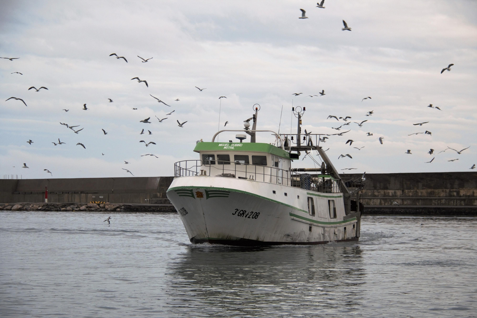 Un barco entrando al Puerto de Motril tras faenar