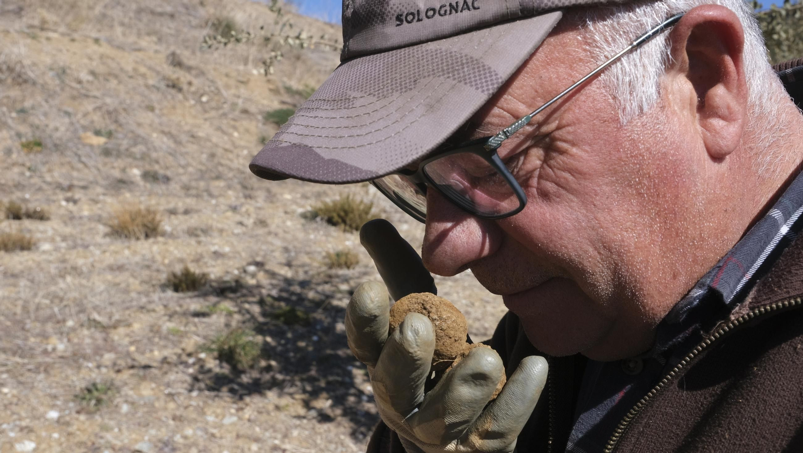La trufa negra, el tesoro oculto de Laujar, en imágenes