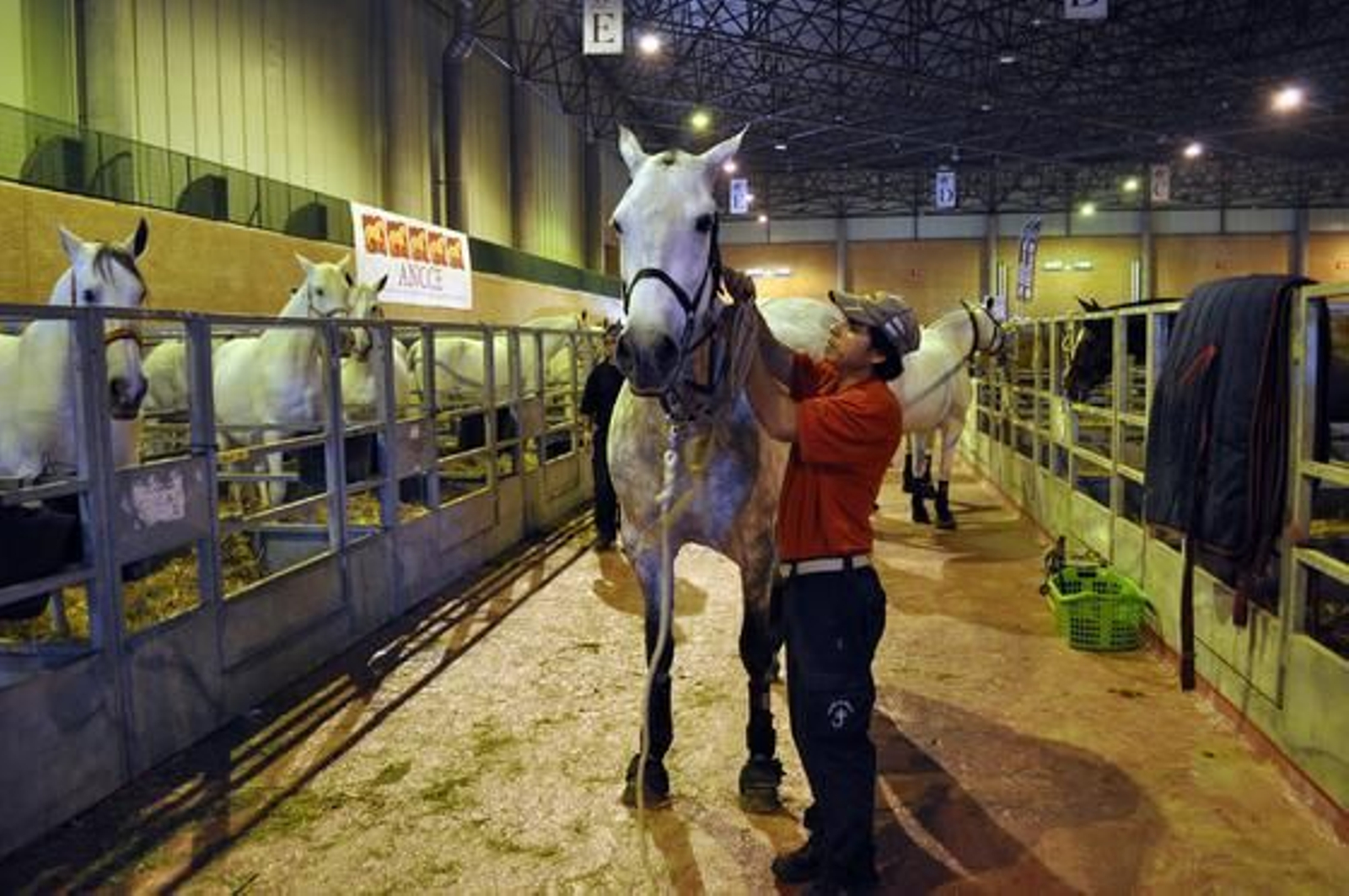 Preparativos y ensayo general del Sicab en Fibes. /Manuel Gómez