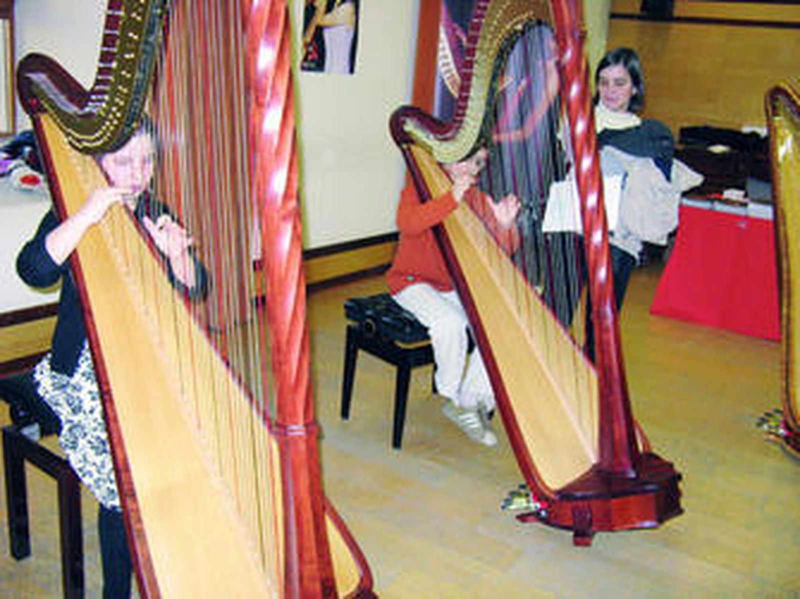 Dos jóvenes ensayan durante la pasada edición del concurso de Arpaplus.