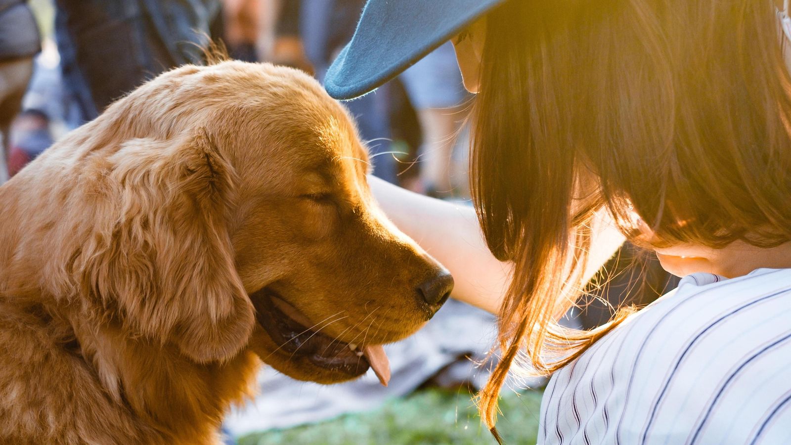 La Generación Z es, en general, la que más mima a los perros con la música. La Generación Z es, en general, la que más mima a los perros con la música.