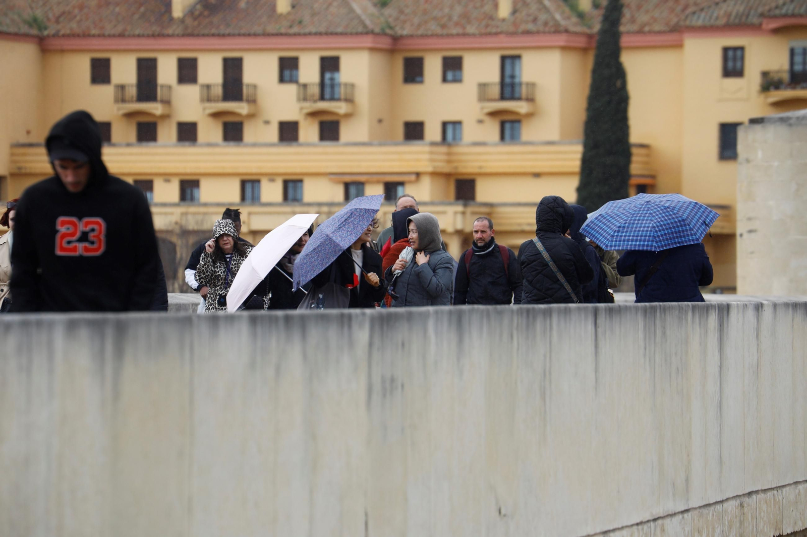 La borrasca Martinho aprieta en Córdoba, en imágenes