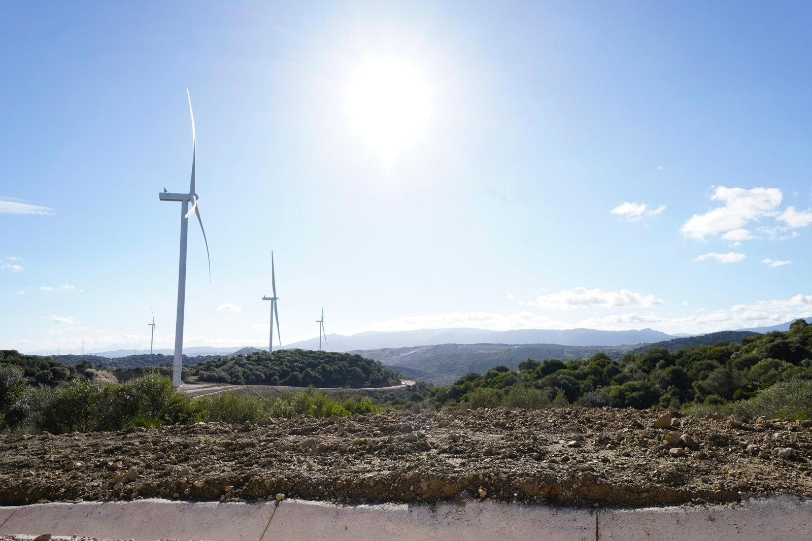 Las fotos de la inauguración de los parques eólicos El Padrón y Cerro Cabello de Los Barrios