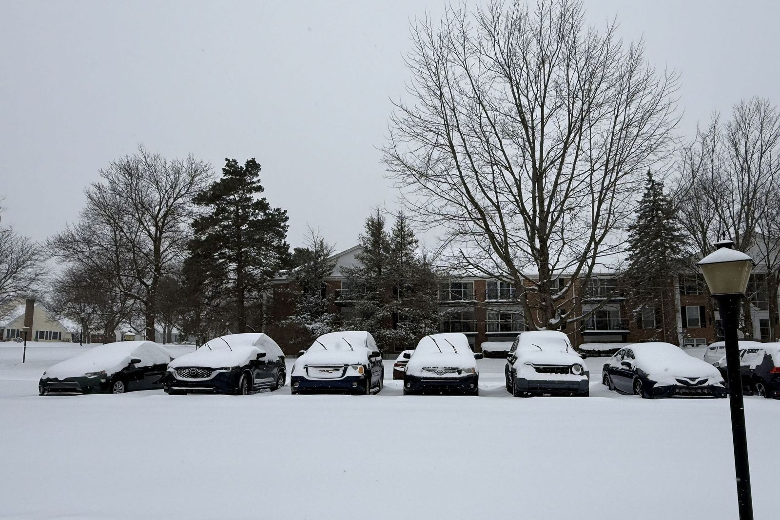 Las gélidas y blancas imágenes que deja la tormenta monstruosa en los EEUU