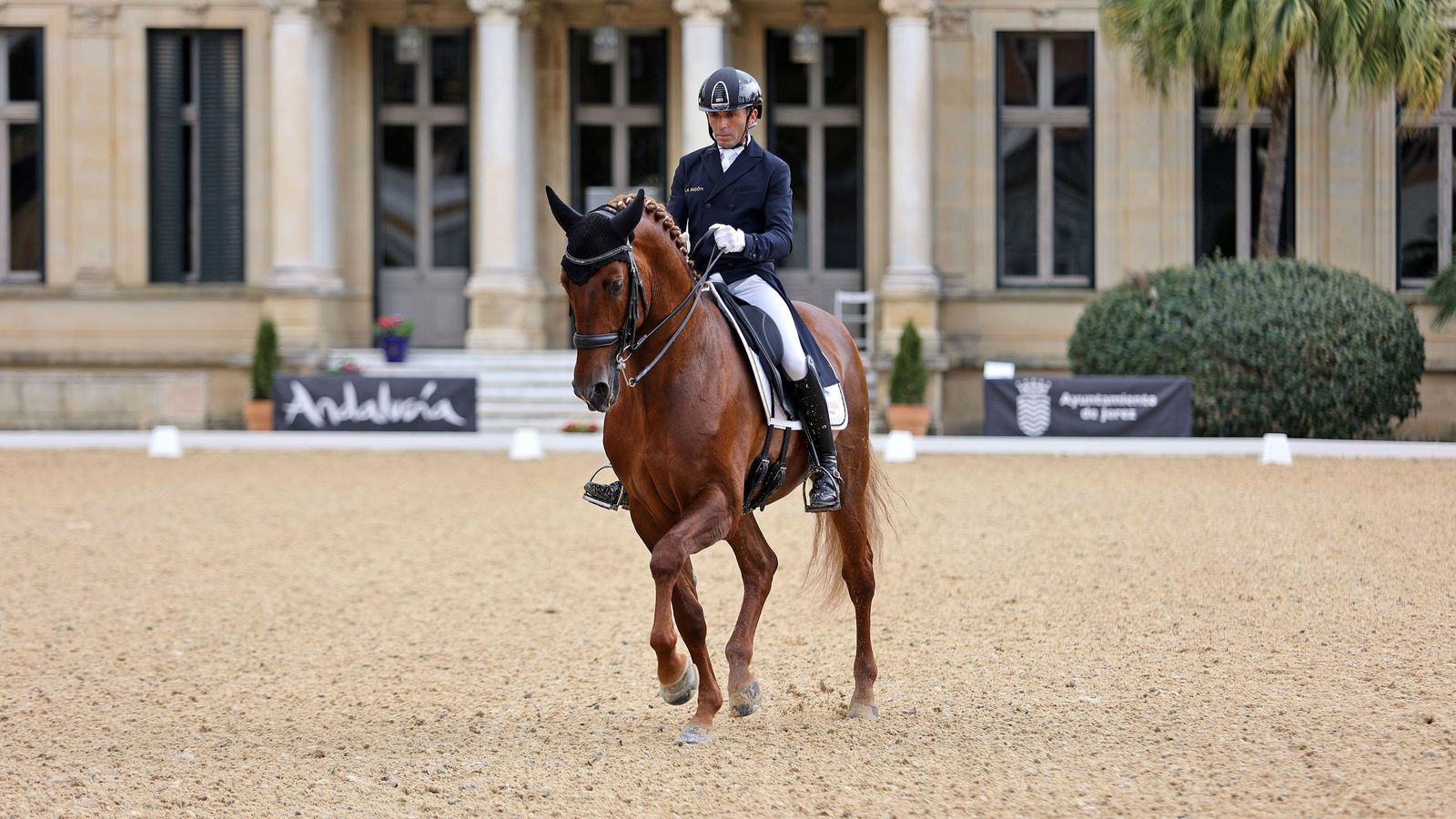 Concurso Internacional de Doma Clásica en La Real Escuela de Jerez
