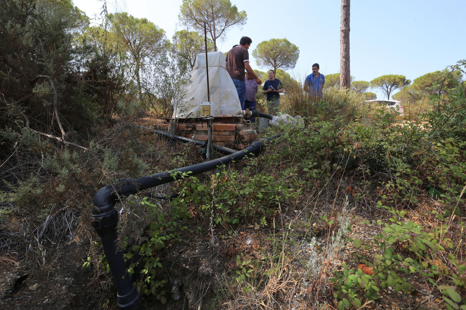 Varios regantes junto a un pozo sellado en el entorno de Doñana. Varios regantes junto a un pozo sellado en el entorno de Doñana.