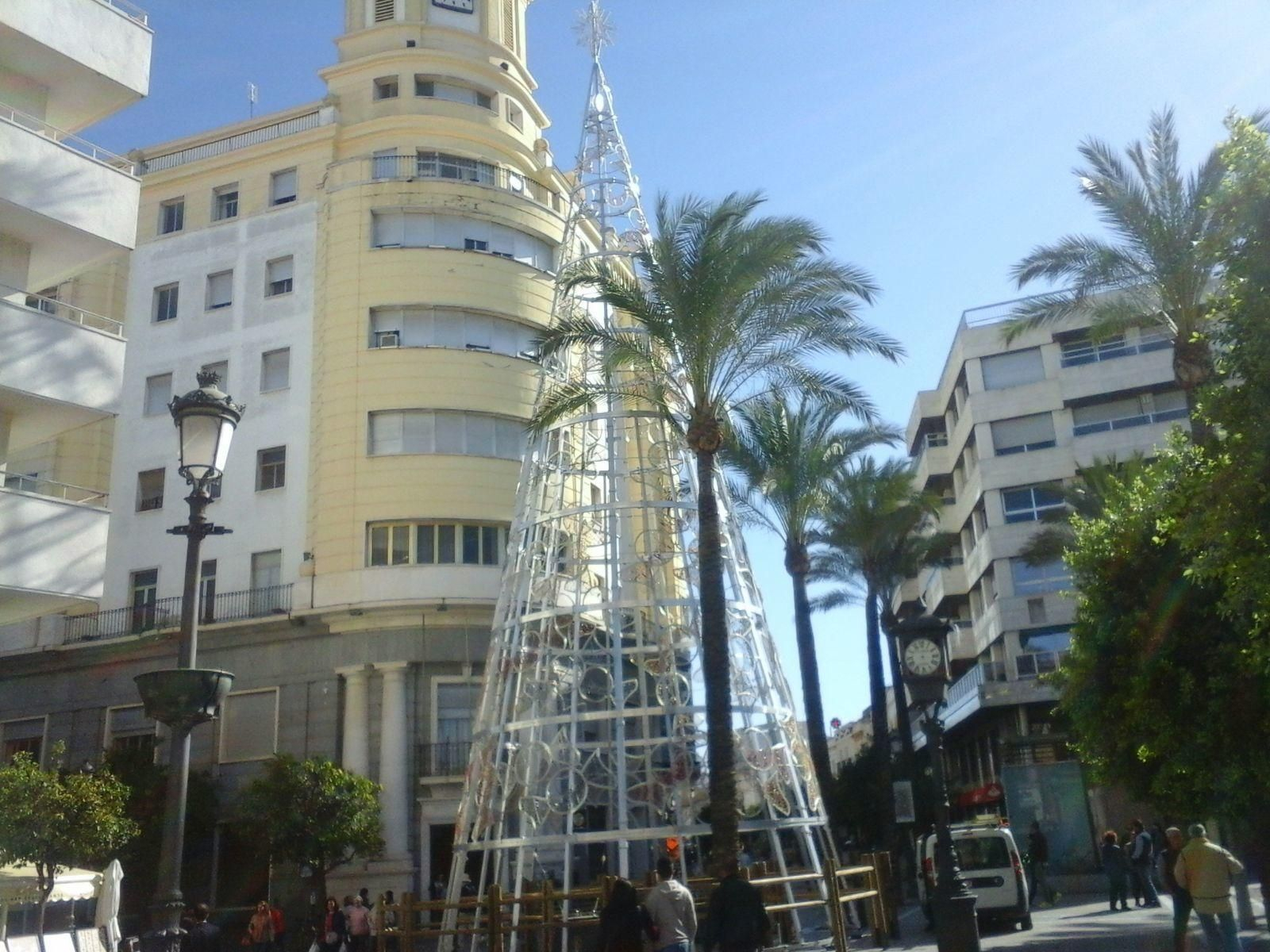 El esqueleto del árbol en la plaza del Arenal